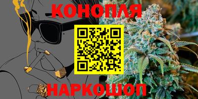 индика Ливны