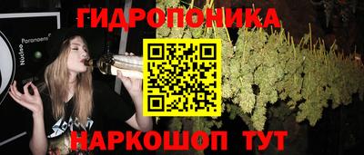 индика Ливны