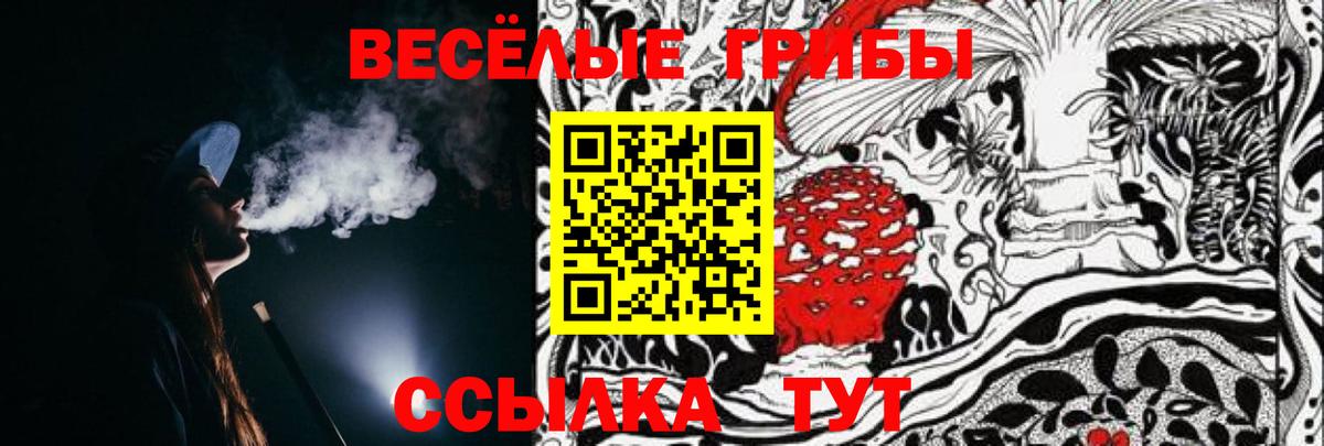 Галлюциногенные грибы прущие грибы Шатура