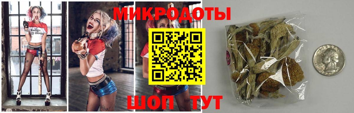 Псилоцибиновые грибы Psilocybe  Псилоцибиновые грибы ЛСД  Вход с VPN  Шатура 